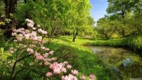 آموزش پیش از ازدواج
