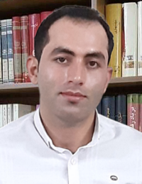 حامد سیفی زاده