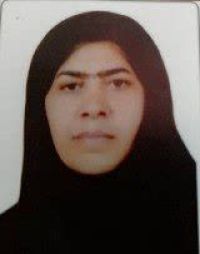 هما محمدی زاده
