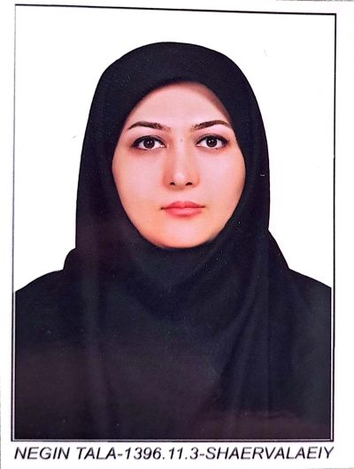 مهدیه شاعر والایی
