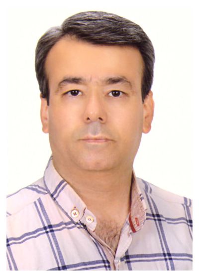 سیدعلیرضا گنجه
