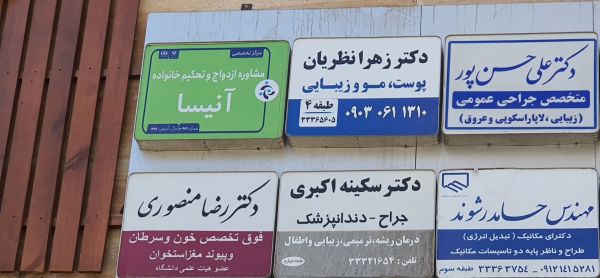 آنیسا